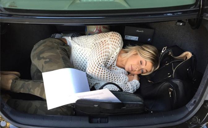 Возить горилл и читать комиксы запрещается