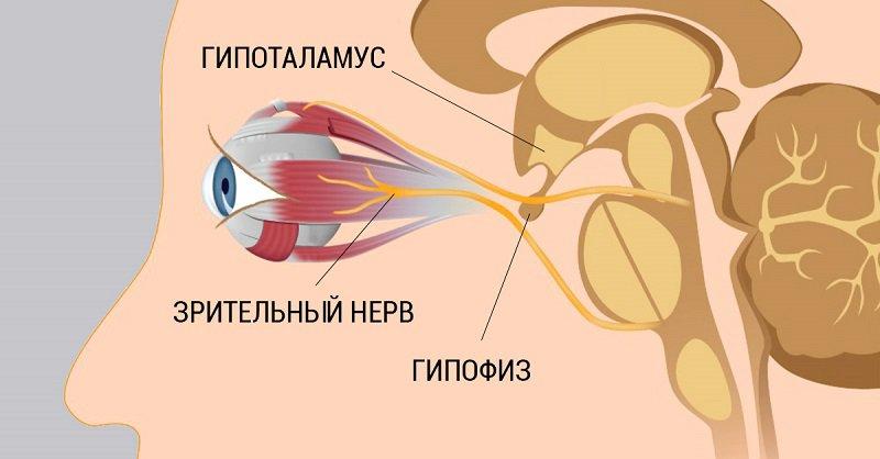 8 Шагов к улучшению зрения